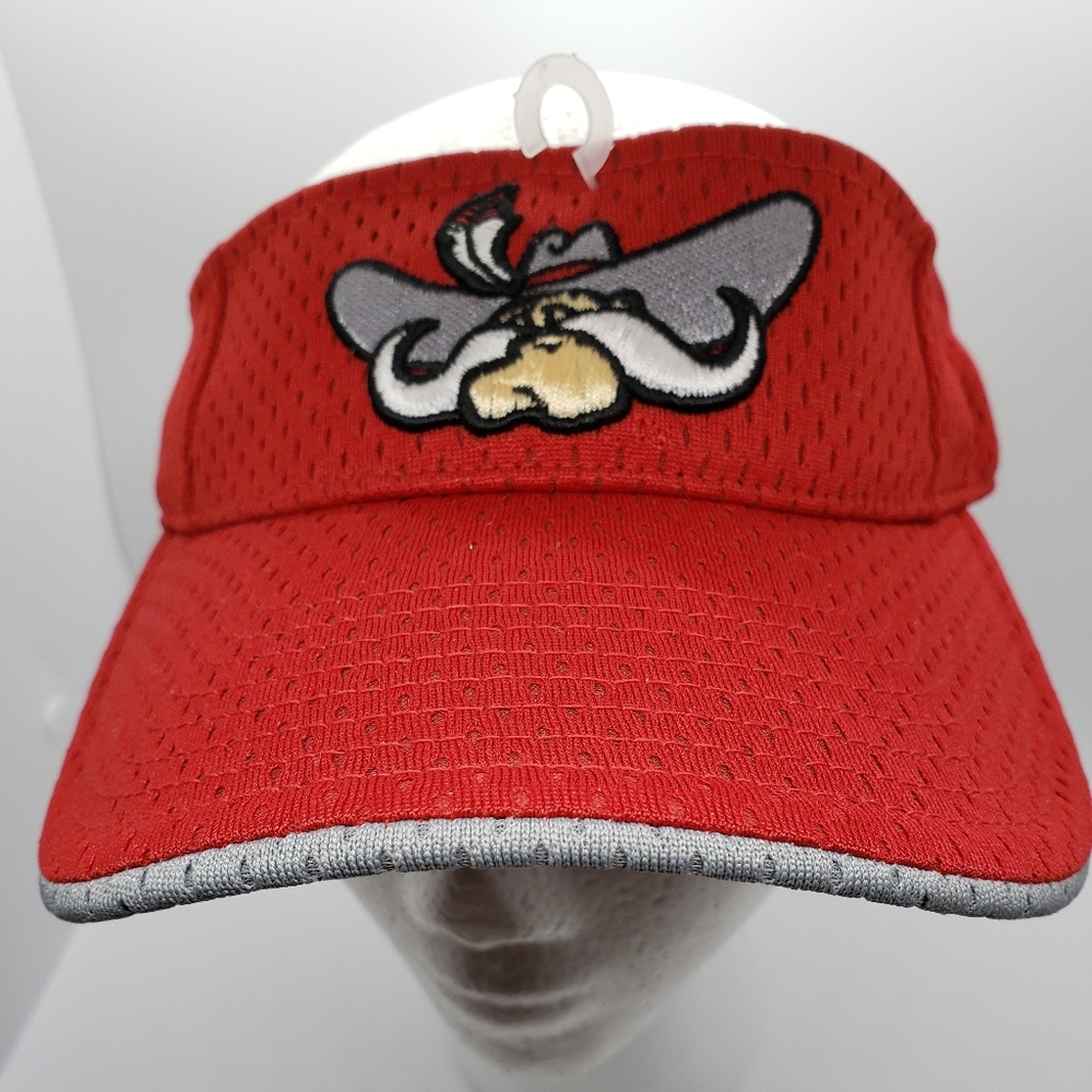 University Of Nevada Las Vegas Visor